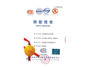 檢驗(yàn)報(bào)告